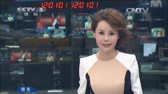 央视女主播穿泳衣,展现时尚魅力