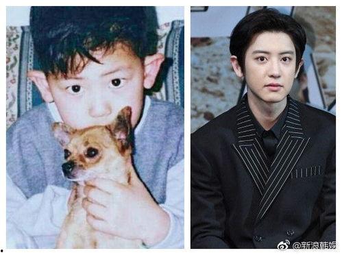 130626 新浪娱乐 exo,130626新浪娱乐独家报道解析