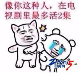 死撑的图片,逆境中的坚韧与力量