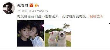 表白明星的句子,明星表白瞬间