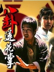 八卦莲花掌简介,古老内家拳术的神秘魅力与修炼之道