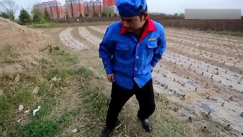 搞笑土锤哥,土味情话笑翻全场