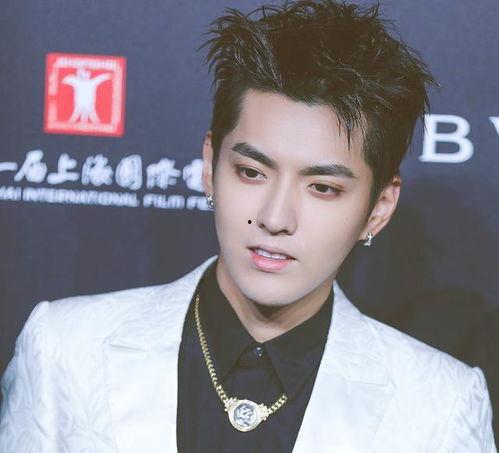 娱乐圈吴亦凡同人,揭秘吴亦凡同生之谜