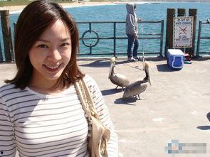 台湾嘉欣个人资料